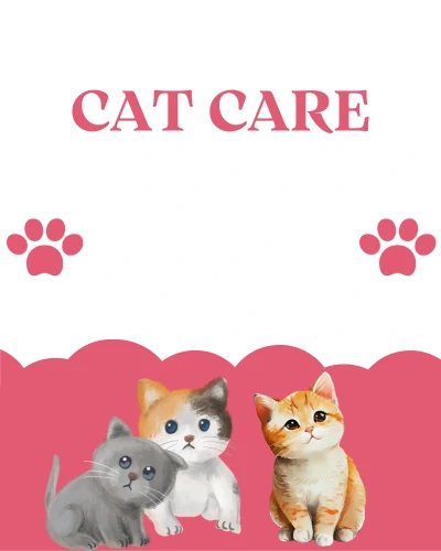 Cat Care