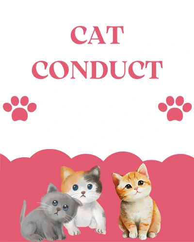 Cat Conduct