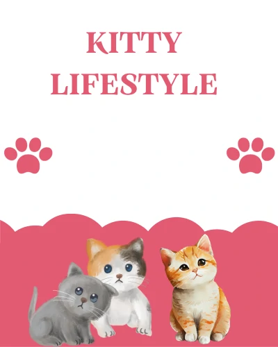 Kitty Lifestyle